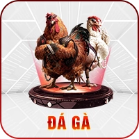 đá gà vm88