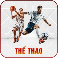thể thao vm88